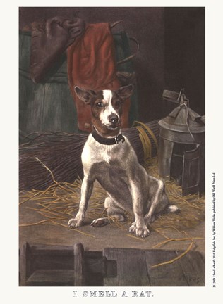 Framed I Smell a Rat Print