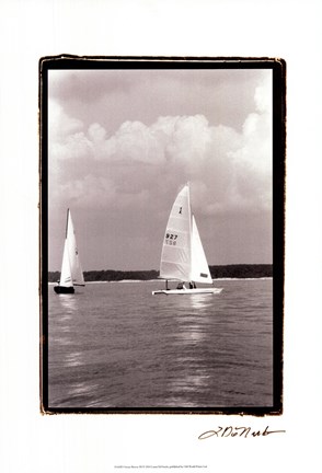 Framed Ocean Breeze III Print