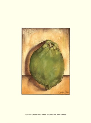 Framed Citrus Comfort III Print