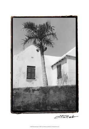Framed Bermuda Shade Print