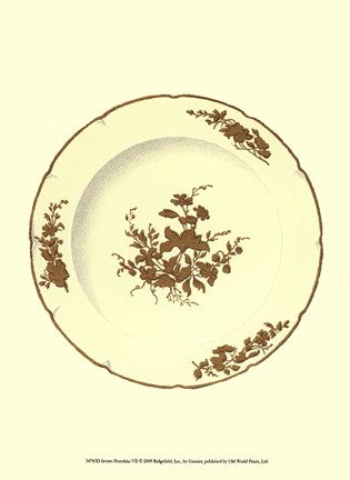 Framed Sevres Porcelain VII Print