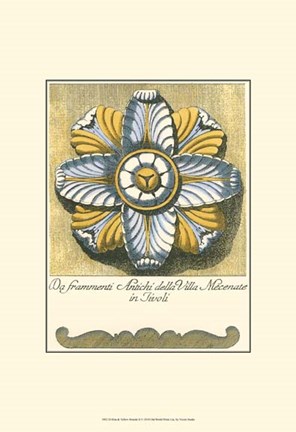 Framed Blue &amp; Yellow Rosette II Print