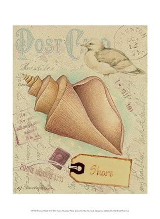 Framed Postcard Shells III Print