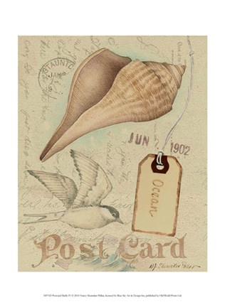 Framed Postcard Shells IV Print