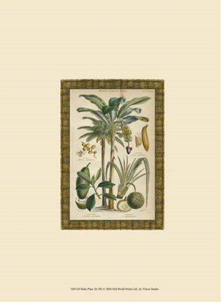 Framed Palm Plate 28 (IP) Print