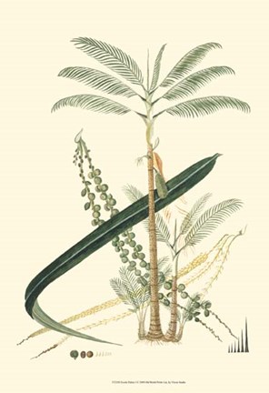 Framed Exotic Palms I Print