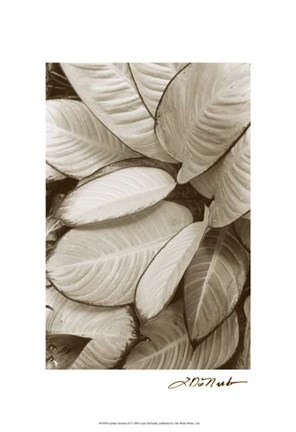 Framed Garden Textures II Print