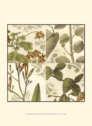 Framed Small Botanical Quadrant I (P) Print