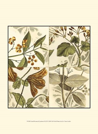 Framed Small Botanical Quadrant II (P) Print