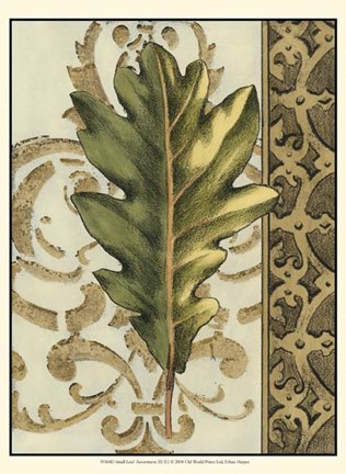 Framed Small Leaf Assortment III (U) Print