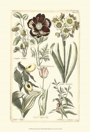 Framed Floral Bounty III Print