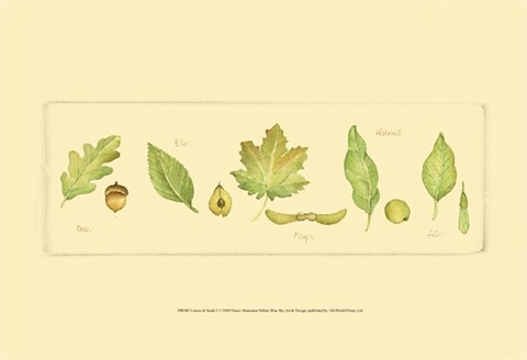 Framed Leaves &amp; Seeds I Print