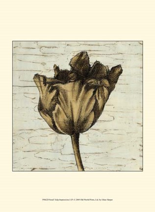 Framed Small Tulip Impressions I Print