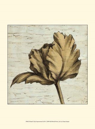 Framed Small Tulip Impressions II Print