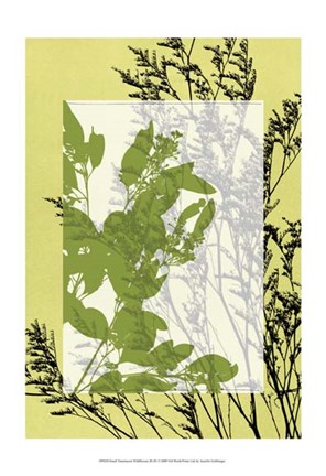 Framed Sm Translucent Wildflowers III Print