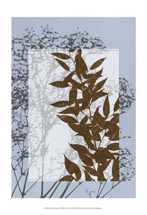 Framed Sm Translucent Wildflowers VI Print