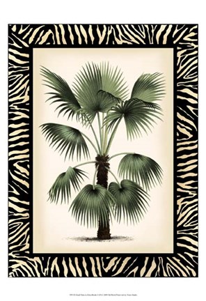 Framed Small Palm in Zebra Border II Print