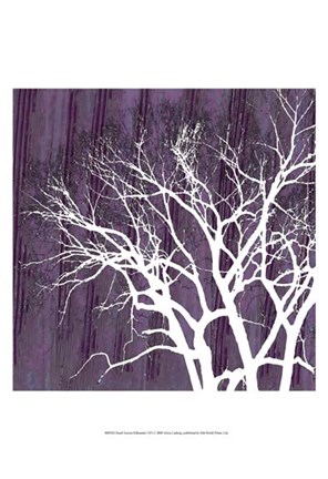 Framed Small Aurora Silhouette I (P) Print