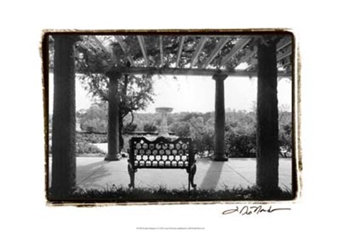 Framed Garden Elegance I Print