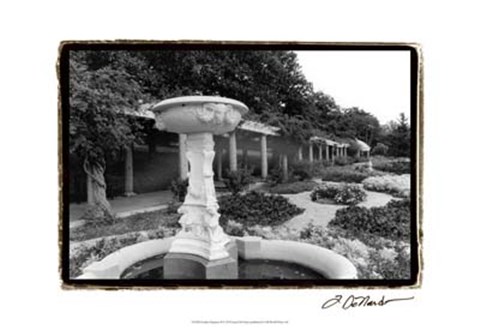 Framed Garden Elegance II Print