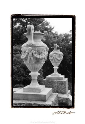 Framed Garden Elegance IV Print