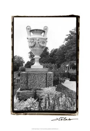 Framed Garden Elegance V Print