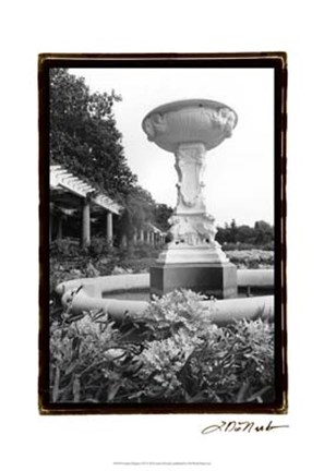 Framed Garden Elegance VII Print