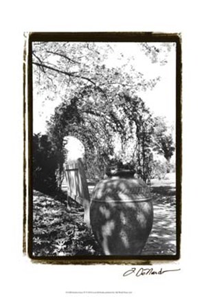 Framed Garden Grace IV Print