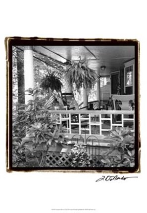 Framed American Breeze IX Print