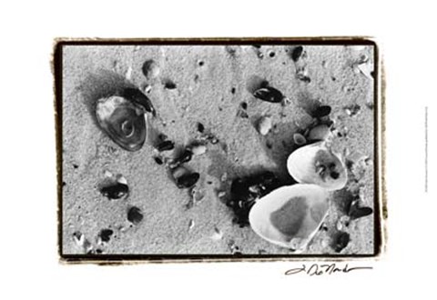 Framed Sand Treasures I Print