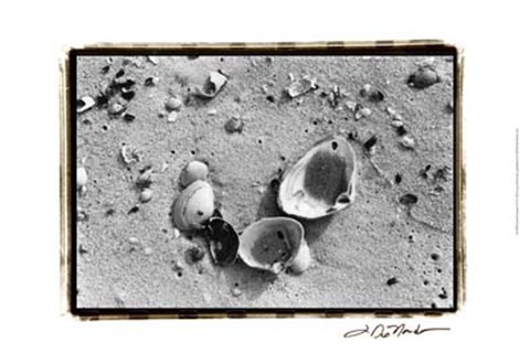 Framed Sand Treasures IV Print