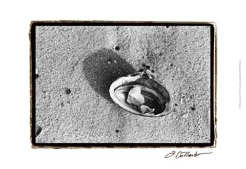 Framed Sand Treasures VI Print