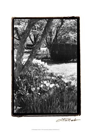 Framed Springtime Garden IV Print
