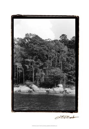 Framed Serene Lake IV Print