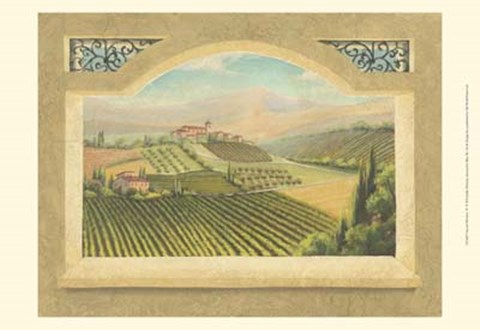 Framed Vineyard Window IV Print