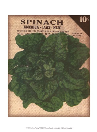 Framed Heirloom Variety VI Print