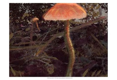 Framed Forest Floor I Print