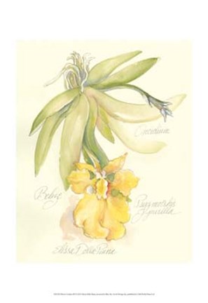 Framed Elissa&#39;s Garden III Print