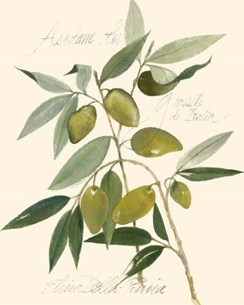 Framed Ascolane Olives Print