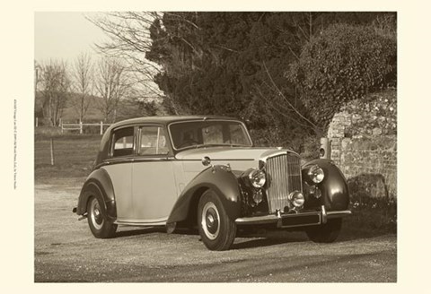 Framed Vintage Cars III Print