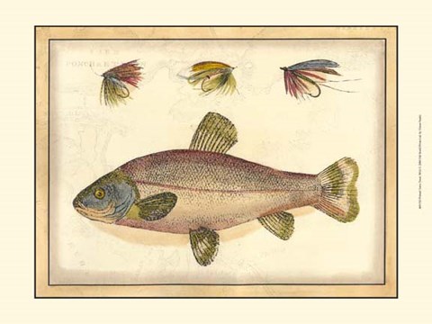 Framed Printed Tom&#39;s Trout Print