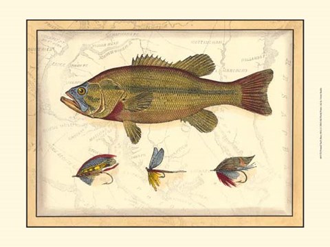 Framed Printed Paul's Bass Print