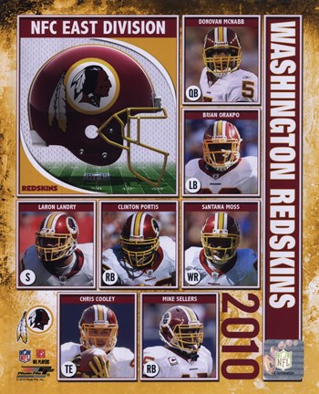 Framed 2010 Washington Redskins Composite Print