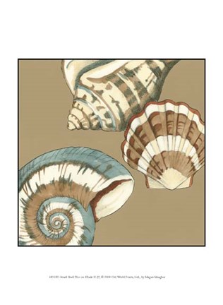 Framed Small Shell Trio on Khaki II (P) Print