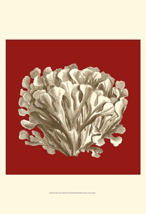 Framed Small Coral on Red III (P) Print