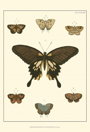 Framed Small Heirloom Butterflies I (P) Print