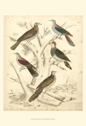 Framed Small Avian Habitat I (P) Print