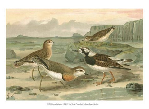 Framed Shore Gathering I Print