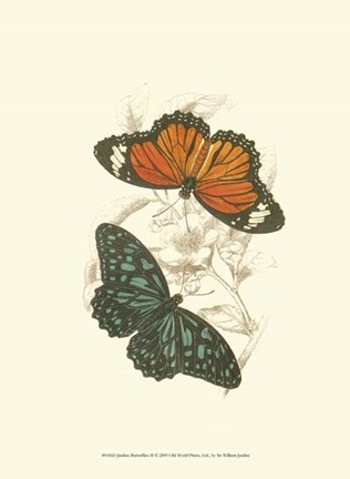 Framed Butterflies II Print