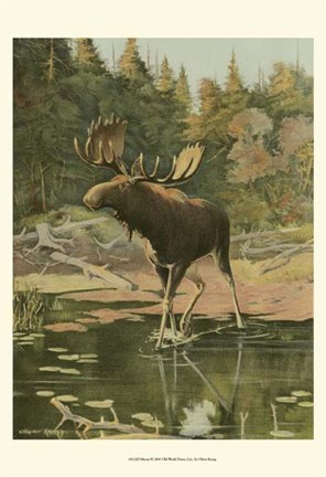 Framed Moose Print